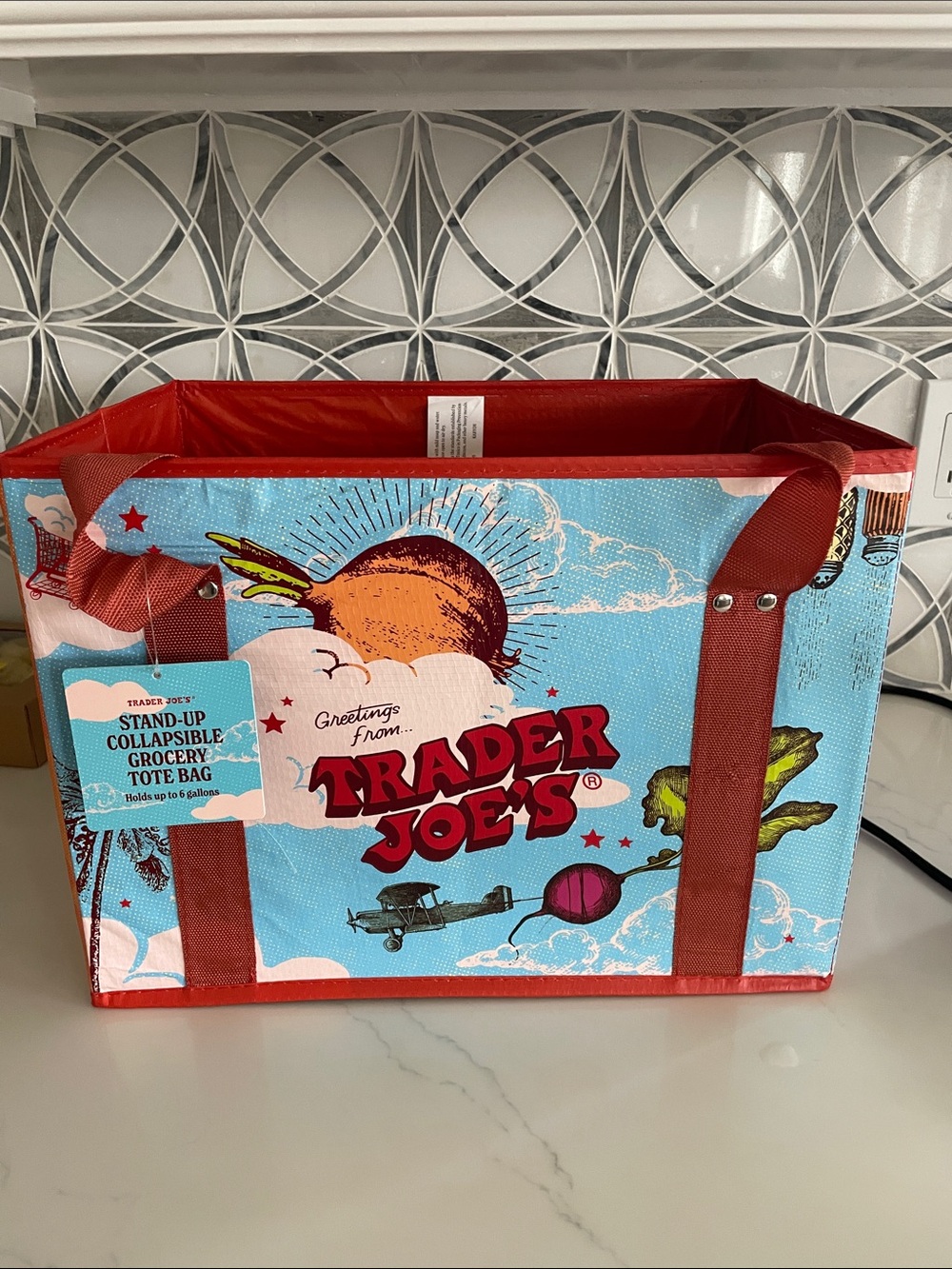 NWT Trader Joe’s Stand Up Collapsible Tote Bag